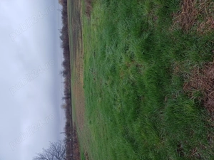 Teren Ciorogarla  - imagine 3