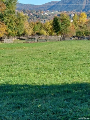 teren intravilan