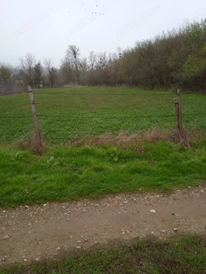 Teren intravilan fara constructii - imagine 2