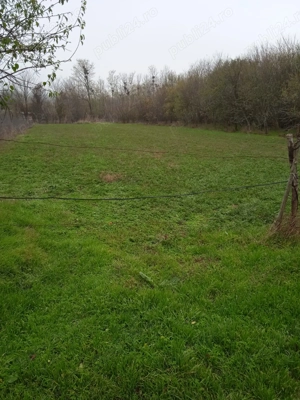 Teren intravilan fara constructii - imagine 3