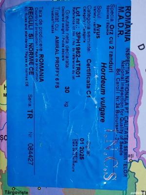 Vand orzoaica de primăvară - C2 - imagine 3