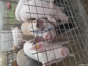 De vinzare  - imagine 3