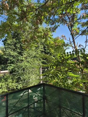 Apartament cu o cameră de închiriat în Turda, centru - imagine 5