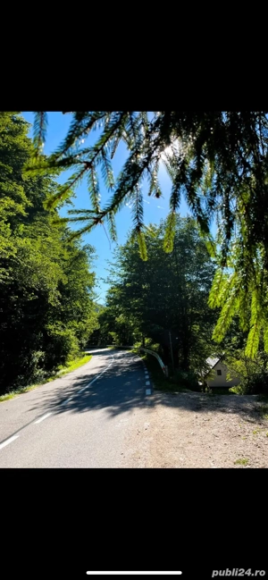 Vand cabana casa locuit Marisel - imagine 9