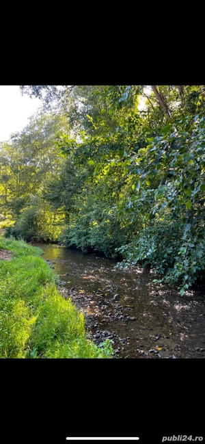 Vand cabana casa locuit Marisel - imagine 10