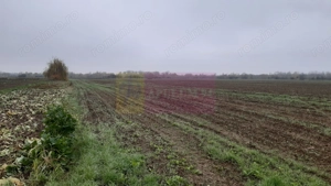 Teren Investiție aproape de București - imagine 5