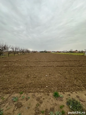 vand teren intravilan - 36 Ari 