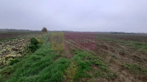 Teren Investiție aproape de București - imagine 4