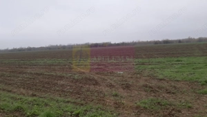 Teren Investiție aproape de București - imagine 6