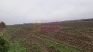 Teren Investiție aproape de București - imagine 8