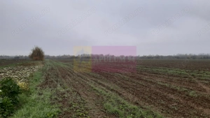 Teren Investiție aproape de București - imagine 11