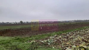 Teren Investiție aproape de București - imagine 10