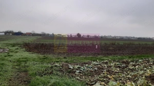 Teren Investiție aproape de București - imagine 12