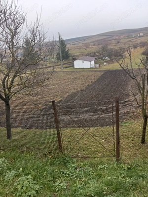 Teren intravilan in comuna Tureni  - imagine 2