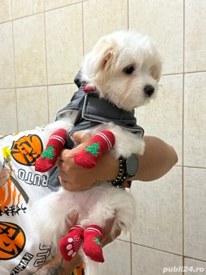 Vand  bhișon  - imagine 5