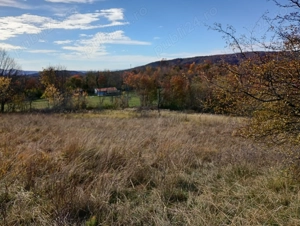 teren extravilan de vinzare resita linga satul doman  - imagine 8