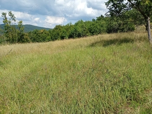 teren extravilan de vinzare resita linga satul doman  - imagine 9