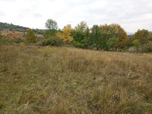 teren extravilan de vinzare resita linga satul doman  - imagine 10