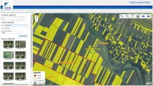 12 Ha Teren Agricol Vlad Tepes CL - imagine 2