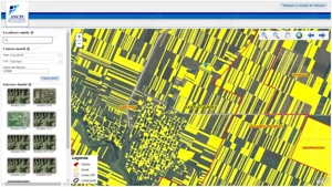 12 Ha Teren Agricol Vlad Tepes CL - imagine 4