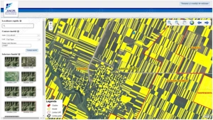 12 Ha Teren Agricol Vlad Tepes CL - imagine 5