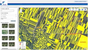 12 Ha Teren Agricol Vlad Tepes CL - imagine 3