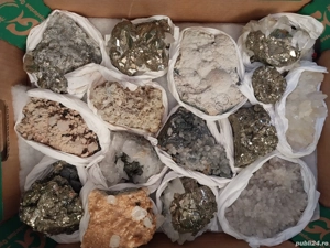 Vând flori de mină!