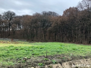 Teren de vanzare in Grewein