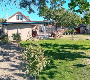 Casa de vanzare Varsand, Arad - imagine 4