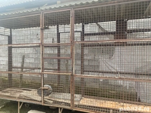 vand coser sau patul de porumb