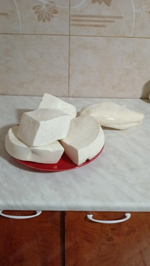 Brânză de burduf și telemea de oaie sărată 