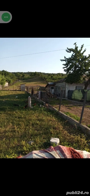 Casa batraneasca si teren  - imagine 7