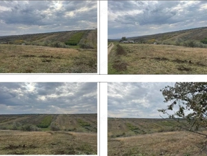 Teren extravilan Perieni, cota parte 6/16 , ID: R2822105 - imagine 8