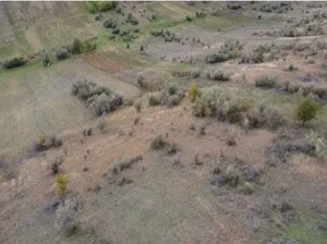 Teren extravilan Perieni, cota parte 6/16 , ID: R2822105 - imagine 6