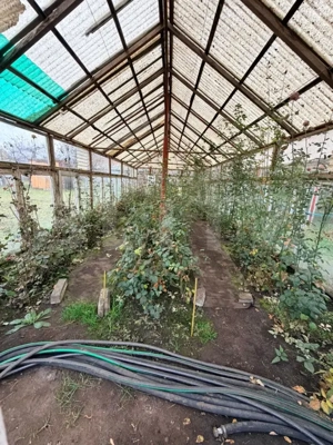 Casă de vânzare – proprietate generoasă 2.285 m² teren, in TOHANU VECHI 230.000E - imagine 8