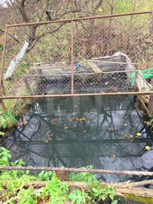 Casă de vânzare – proprietate generoasă 2.285 m² teren, in TOHANU VECHI 230.000E - imagine 7