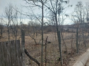 Vând teren in localitatea Blanzi Jud Galati  - imagine 3