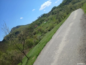 Casa +13000 mp2 Teren  - imagine 3