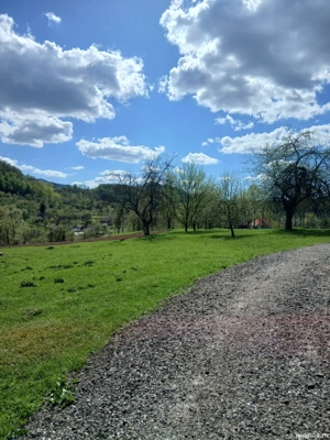 Casa +13000 mp2 Teren  - imagine 9