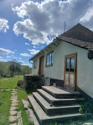 Casa +13000 mp2 Teren  - imagine 5