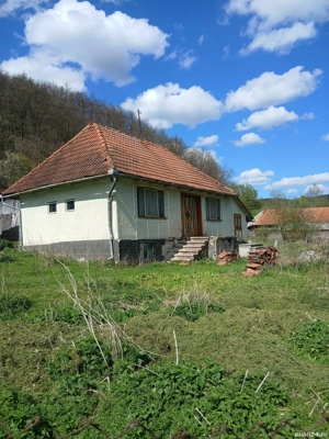 Casa +13000 mp2 Teren  - imagine 8