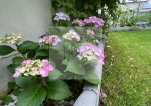 COM 0% I Vila de vanzare in Tunari I Gata de mutat I 4 camere 5parcari - imagine 8