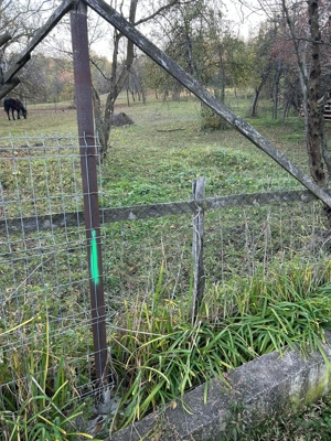 Vand teren intravilan 2050mp in Izvoarele, Prahova - imagine 5