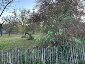 Vand teren intravilan 2050mp in Izvoarele, Prahova - imagine 2