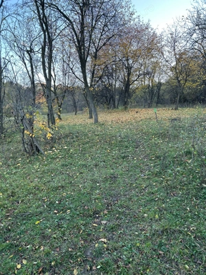 Vand teren intravilan 2050mp in Izvoarele, Prahova - imagine 6