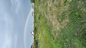 Teren 540 mp Măgurele