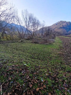 vânzare teren - imagine 2