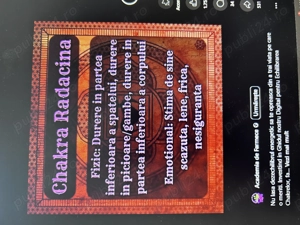 Inchiriez vila pt revelion 2 nopti pt 12 persoane in 6 camere cu baie proprie la pretul de 7000 lei  - imagine 2