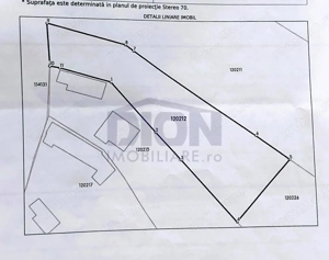 Domnesti Teghes ideal investitie,toate utilitatile - imagine 2