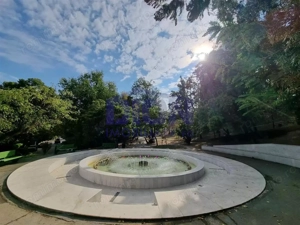 Investitie sigura! Vila de prestigiu - Cotroceni Eroilor - imagine 10